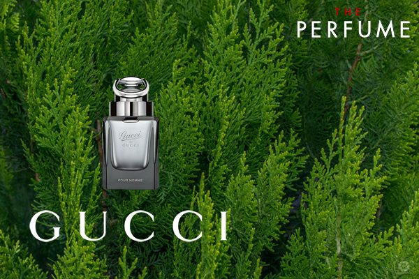 perfume-90ml-pour-homme-gucci-by-gucci